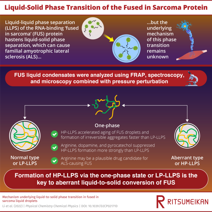 Phase transition of "fused in sarcoma" protein