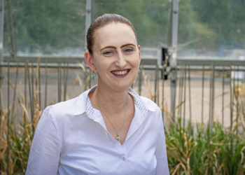 Professor Diane Saunders