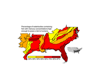 Effect of Land Cover on Ecoregion-Scale Spatial Patterns of Mercury Contamination of Largemouth Bass in the Southeastern US article