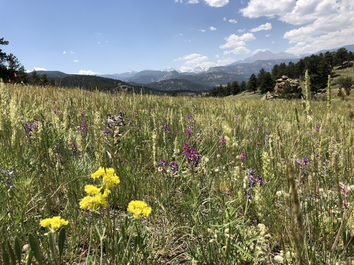 Hall Ranch study site