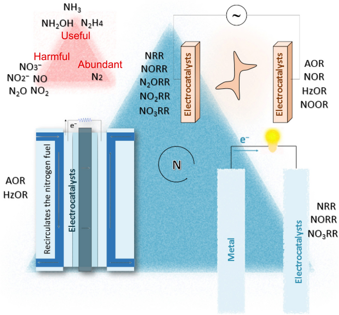 Balancing the nitrogen cycle