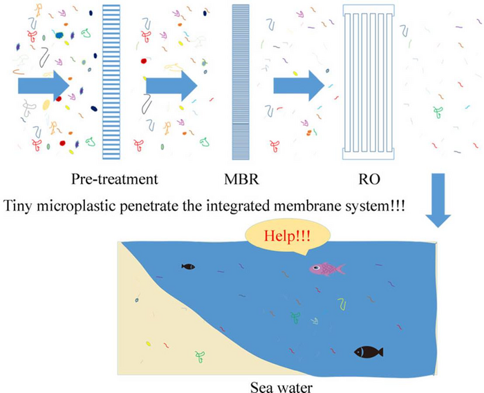 Reveal The Fate Of Microplastics In A Coastal Wastewater Treatment Plant By