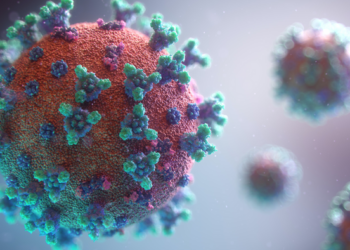 A visualization of the COVID-19 virus.