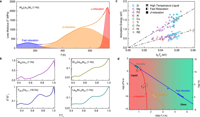 Revealing liquid-like atoms in metallic glasses via dynamics experiments