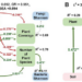 Soil microbes-mediated enzymes promoted the ecological recovery of mine on Loess Plateau