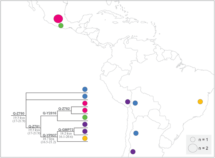 Schematic representation of the geographic distribution of Q-Z780 and sub-lineages.