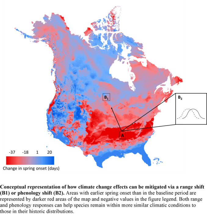 Spring forward: Changing climate’s early winter wakeup call is a buzz kill for bumblebees