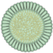 Protocodium_cross-section