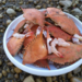 Crab and shrimp shells are an abundant source of chitin