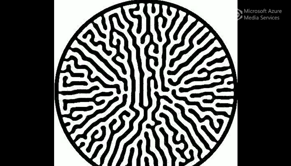 Bacteria-Encoded Patterns