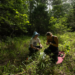 Collecting grass and symbionts near Huntsville, Texas