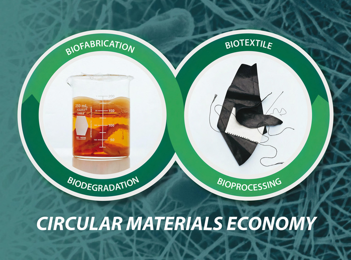 Compostable bioleather offers sustainable solutions for the clothing