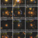 Pictures of gravitational lenses from the AGEL survey