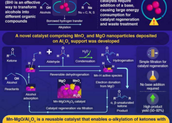 Towards Efficient α-Alkylation of Ketones with Alcohols Using Reusable Mn Catalysts