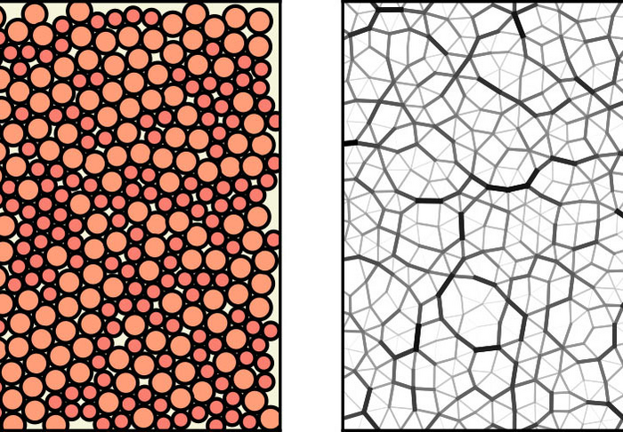 Figure showing configuration of a typical granular solid (left hand side). The force network or force chain in such a material is shown on the right hand side.