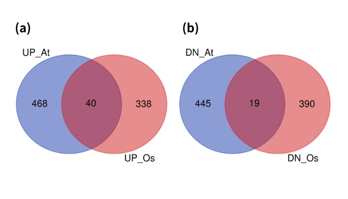 Number of upregulated and downregulated genes in hypoxia treatments identified by meta-analysis