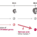 A schematic illustration of our findings in this study