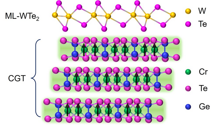 WTe2 and CGT