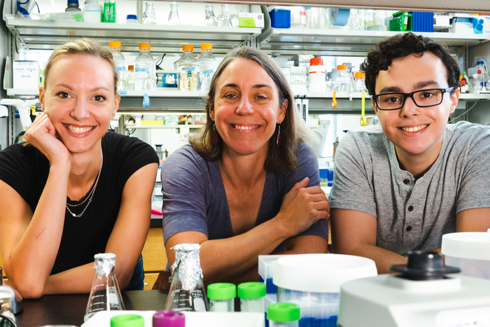 Rice lab grows macroscale, modular materials from bacteria ...