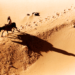 A man crossing the desert in Sudan on a donkey