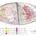 Full-sky map showing  56,000 galaxies