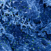 Monkeypox virus (green) on the surface of infected VERO E6 cells (blue)