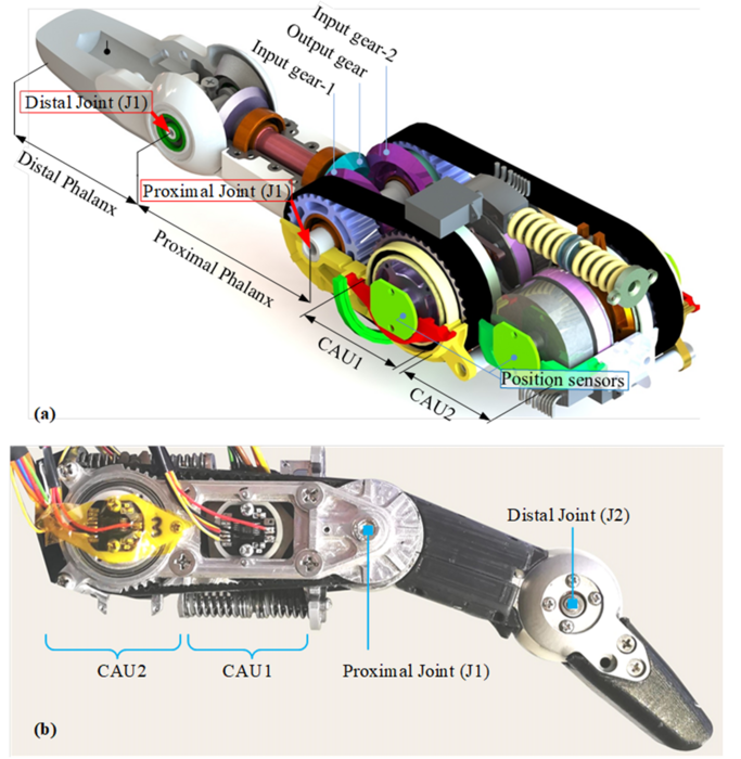 New compact and dexterous robotic finger that can withstand physical ...