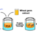 Cell-Free Protein Crystallization (CFPC)