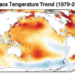 Ocean Temperature Trends