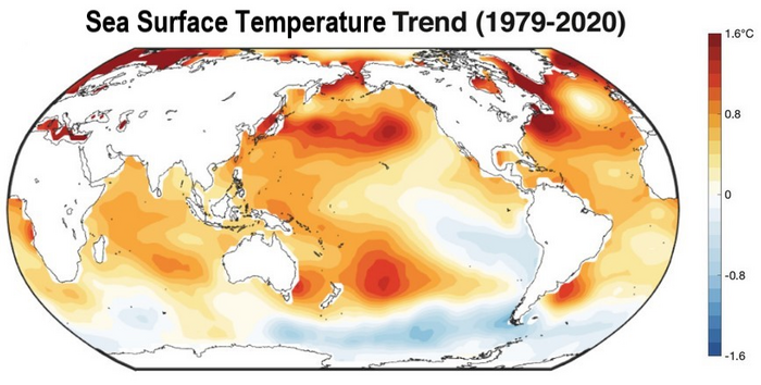 Ocean Temperature Trends