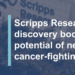 Scripps Research discovery boosts the potential of new cancer-fighting drugs