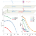 The schematic illustration of Berry curvature induced LPMR and the fitting of experimental data to theoretical equations