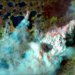 A 30-kilometer-wide wildfire front detected in the Siberian Arctic at a latitude of 69.31°N on August 6, 2020. Sentinel-2 Infrared color image