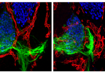 Science image