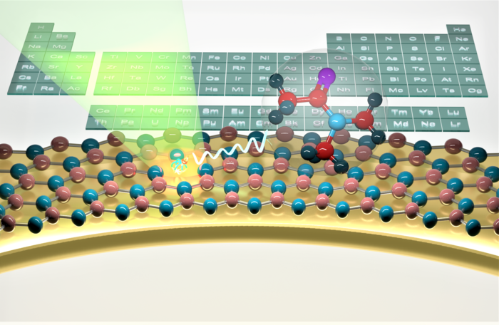 hBN NMR wide 03