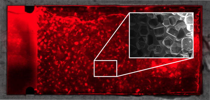 The sponge-like structure of the chip