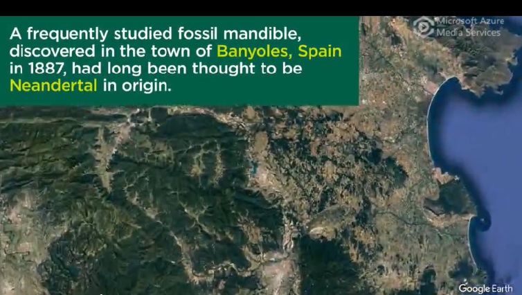 Jawbone May Represent Earliest Presence of Humans in Europe