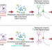 New study finds promising treatment for cognitive deficits associated with cholestatic liver disease