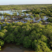 Aldabra atoll Mangrove System