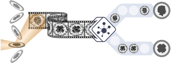 The principle of Coherent Correlation Imaging  (CCI)