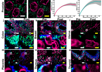 Figure 2: Validation of MAGNIFY in multiple tissue types.