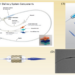 New Pediatric Investigation Article Reviews the Potential of Transcatheter Pulmonary Valve Replacement for Congenital Heart Disorders