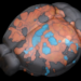 Mouse brain as seen by fMRI