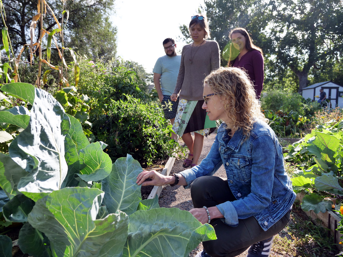 Health benefits of community gardening