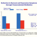 Reduction in Burnout and Depression Symptoms through Transcendental Meditation