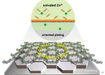 Desolvation and deposition behavior of Zn after the introduction of SCP interlayer
