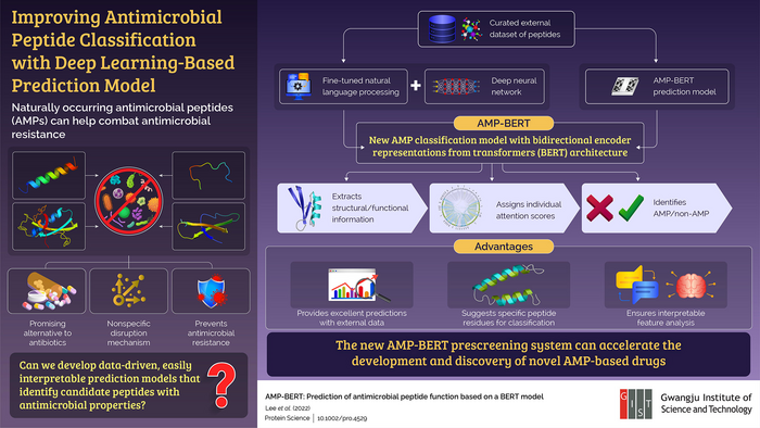 AMP-BERT provides an all-new deep learning approach to antimicrobial peptide discovery