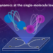 Dynamics at the single-molecule level