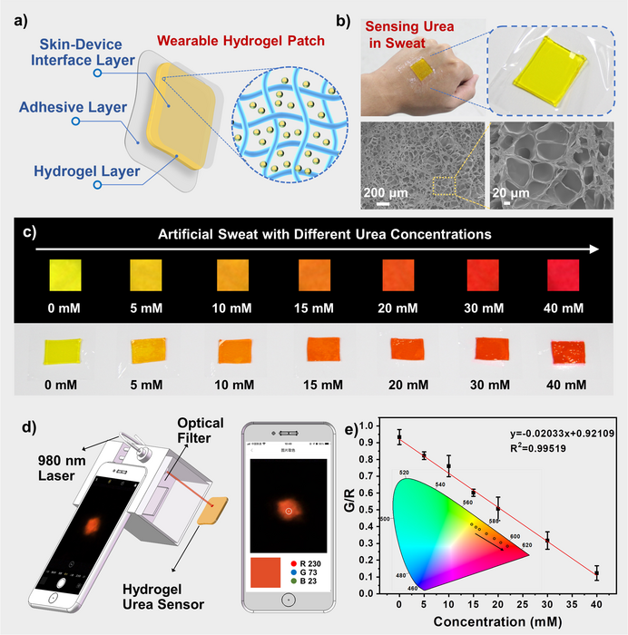 New Approach Allows Faster Test of Urea in Body Fluids