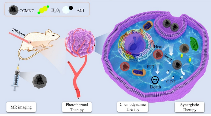 Novel Method with Carbon-coated Magnetite Nanoclusters Proposed in Cancer Synergistic Therapy